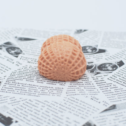 Taba Squishy - Small Peanut | Mess-Free Sensory Toy for Kids | Sweet Sunday